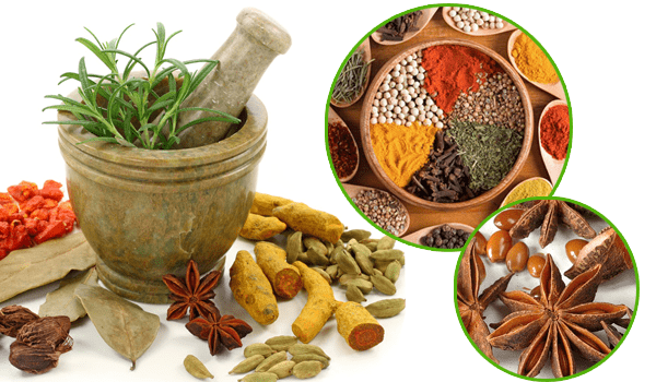 Nguy cơ khi dùng sai bài thuốc thảo dược cho tim mạch
