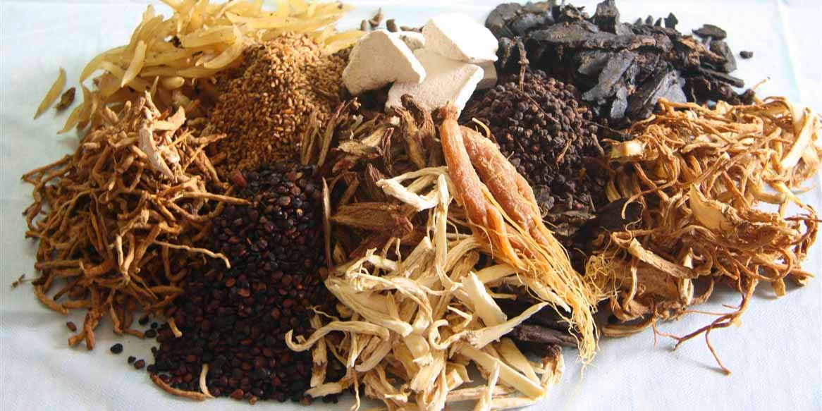 Lối sống lành mạnh kết hợp thảo dược cho tim mạch