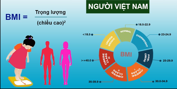 Biểu đồ so sánh BMI giữa người Việt Nam và các nước