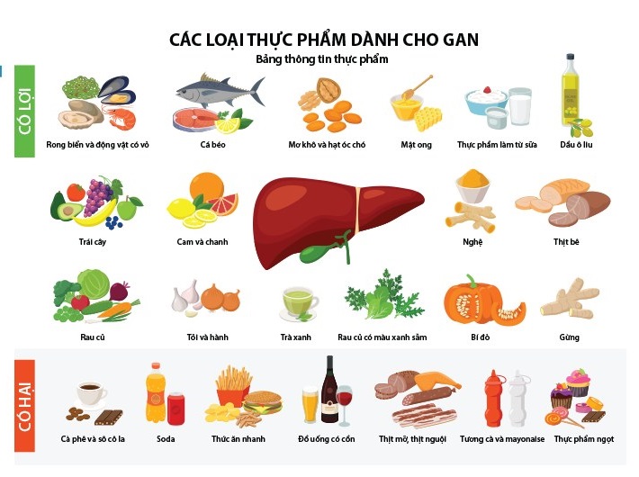hình minh họa dinh dưỡng hỗ trợ điều trị viêm gan