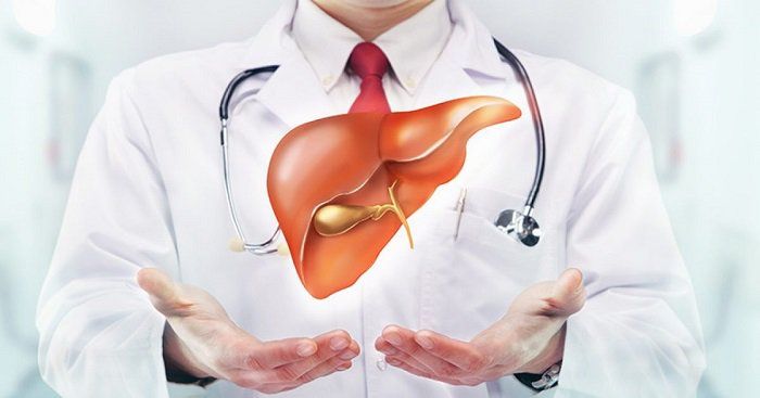 Giá đỗ hỗ trợ giải độc gan theo dân gian