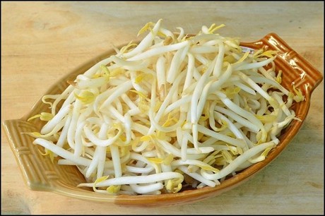 Cảnh báo nguy cơ nếu lạm dụng giá đỗ điều trị viêm gan