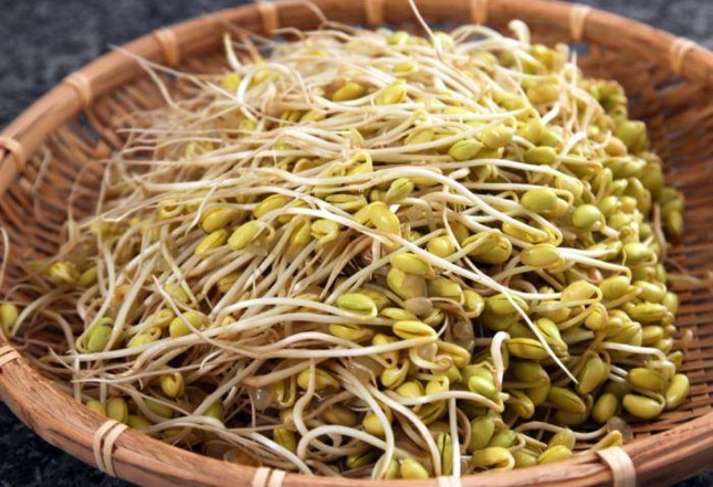 Lời khuyên sử dụng giá đỗ hợp lý cho người viêm gan B
