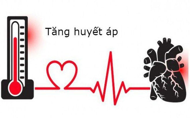 Kiểm soát huyết áp cùng thảo dược bảo vệ tim mạch