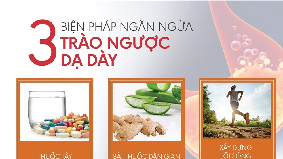 Hình ảnh minh họa các loại thảo dược chữa dạ dày