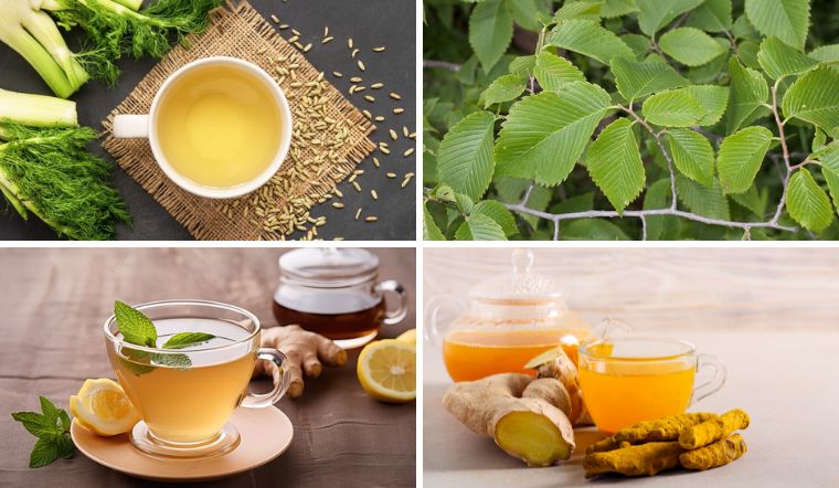 Trà thảo dược – xu hướng chăm sóc dạ dày hiện đại