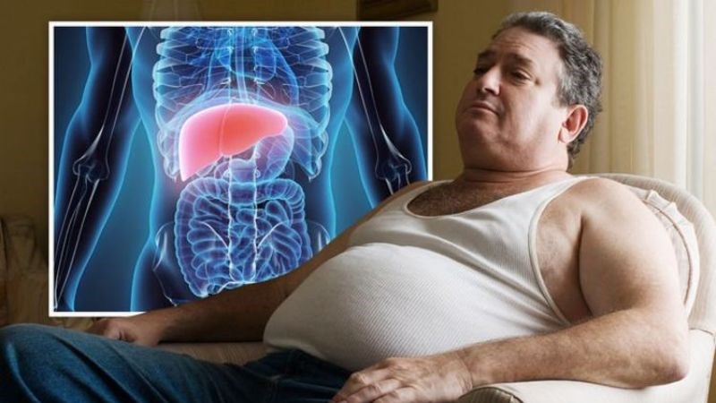 Tác động của hormone đến nguy cơ béo phì