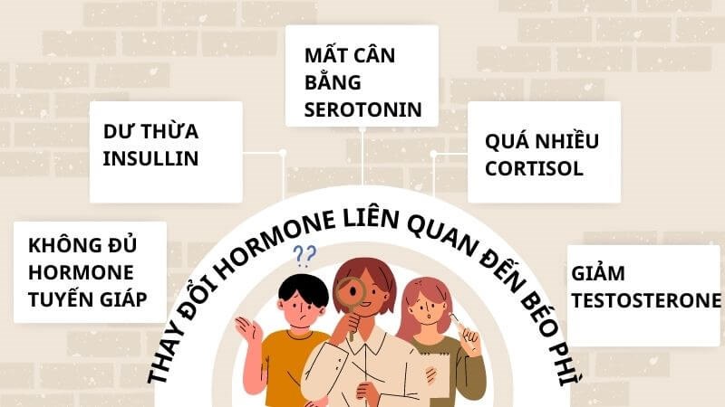 Tương quan hormone và chỉ số cân nặng thực tế