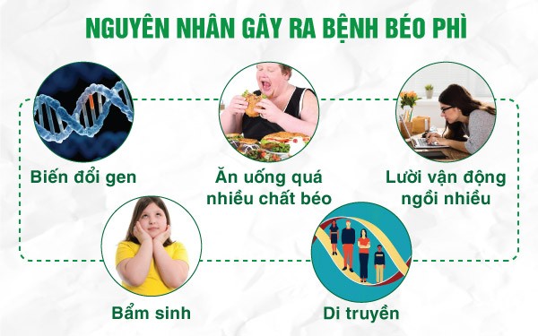 Biện pháp thảo dược hỗ trợ kiểm soát nội tiết, hormone và cân nặng