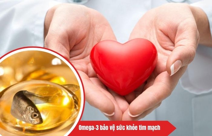 Pamphlet cảnh báo bổ sung omega-3 không đúng cách ở người mắc bệnh mạch vành