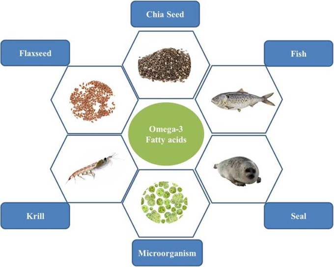 Nguồn omega-3 tự nhiên tốt cho người bệnh tim