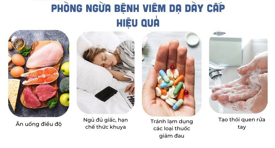 Hỗ trợ phòng tránh loét dạ dày bằng thảo dược thiên nhiên an toàn