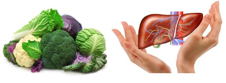 Chức năng gan & vai trò của rau xanh