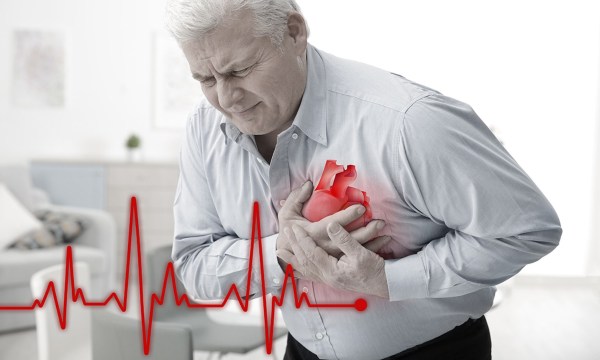 Cấu tạo tim và vùng dễ tổn thương dẫn đến suy tim