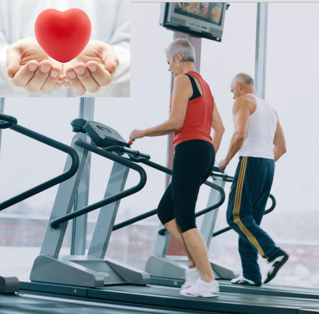 Bài tập cardio cải thiện sức khỏe tim mạch