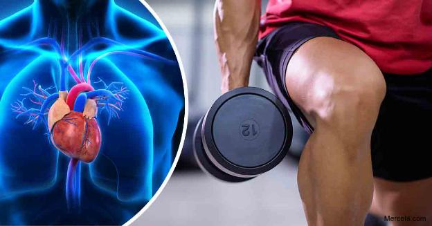 Hiệu quả thật sự của tập tạ nhẹ với tim mạch
