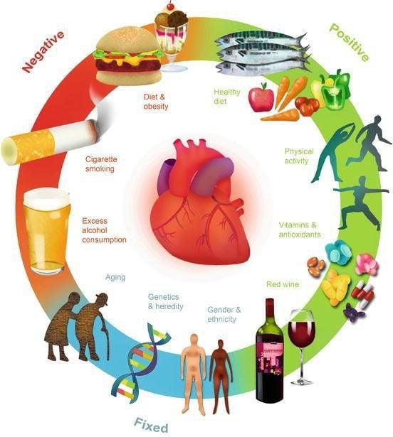 Thói quen ăn uống không lành mạnh ảnh hưởng tim mạch