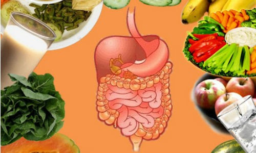 Thực phẩm vàng tăng cường hệ tiêu hóa - ảnh tổng hợp các loại thực phẩm trong bài