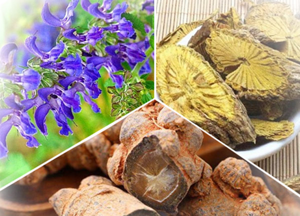 Hướng dẫn sử dụng thuốc nam an toàn cho tim mạch