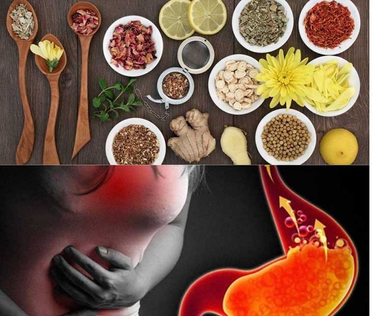 Thảo dược thiên nhiên hỗ trợ trị dạ dày