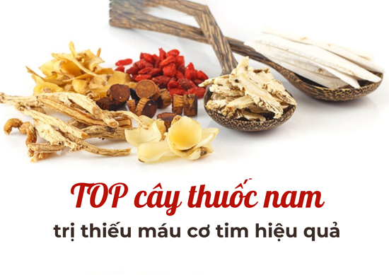 Lưu ý sử dụng cây thuốc nam bảo vệ tim mạch