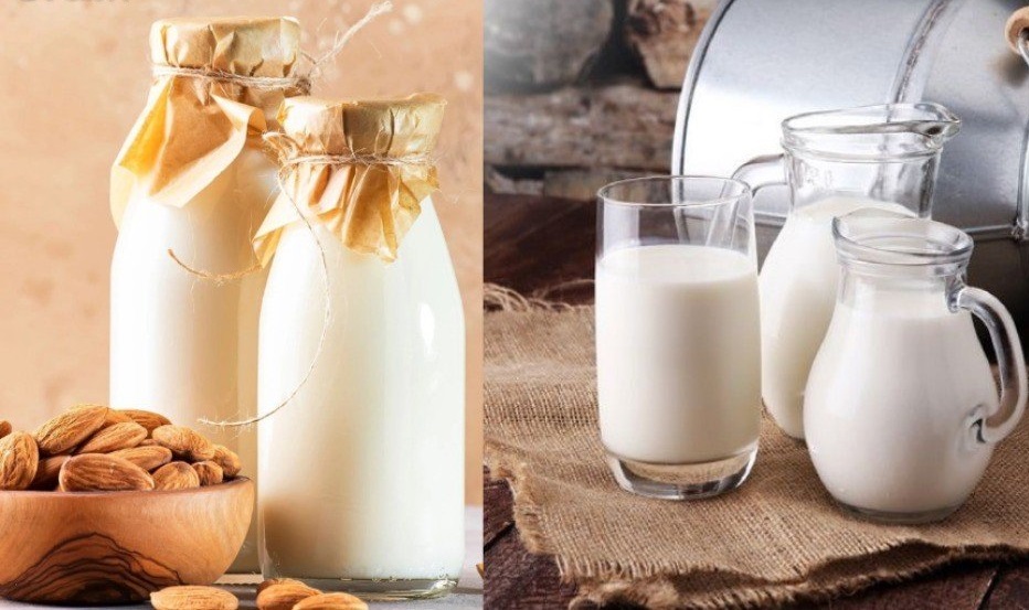 Người tiểu đường nên uống sữa hạt hay sữa bò?