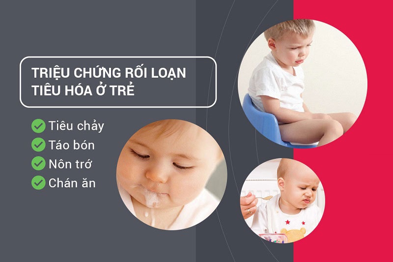 Hệ tiêu hóa ảnh hưởng lớn đến sự phát triển của trẻ