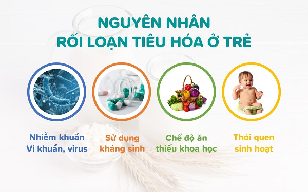 Chăm sóc tiêu hóa toàn diện bằng thảo dược thiên nhiên