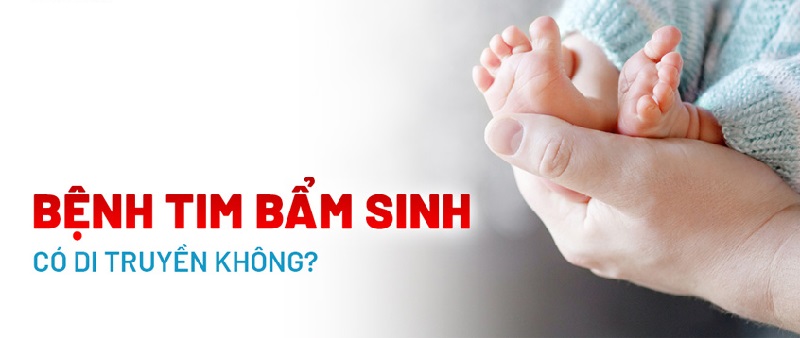 Bệnh tim có di truyền không?