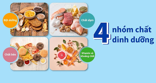 Tác dụng của vitamin và khoáng chất với dạ dày