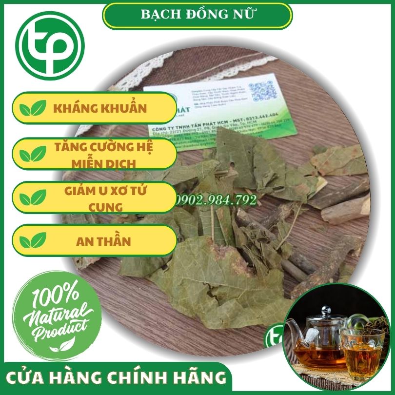 Bạch đồng nữ mang đến nhiều công dụng cho sức khỏe