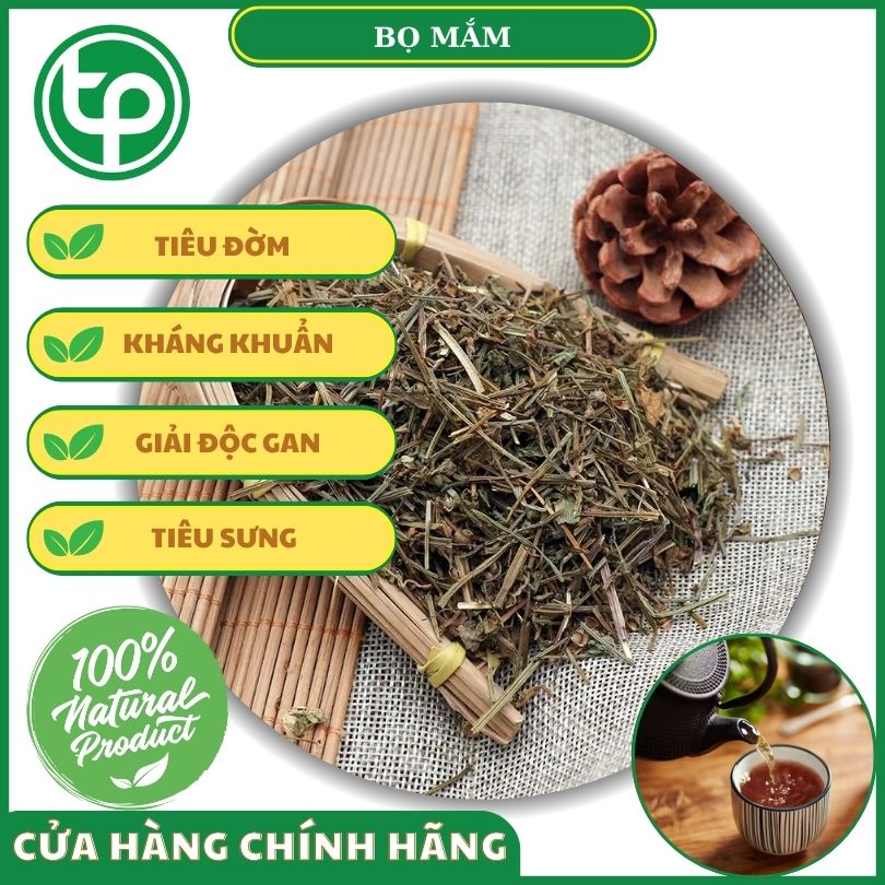 Công dụng của bọ mắm đối với sức khỏe