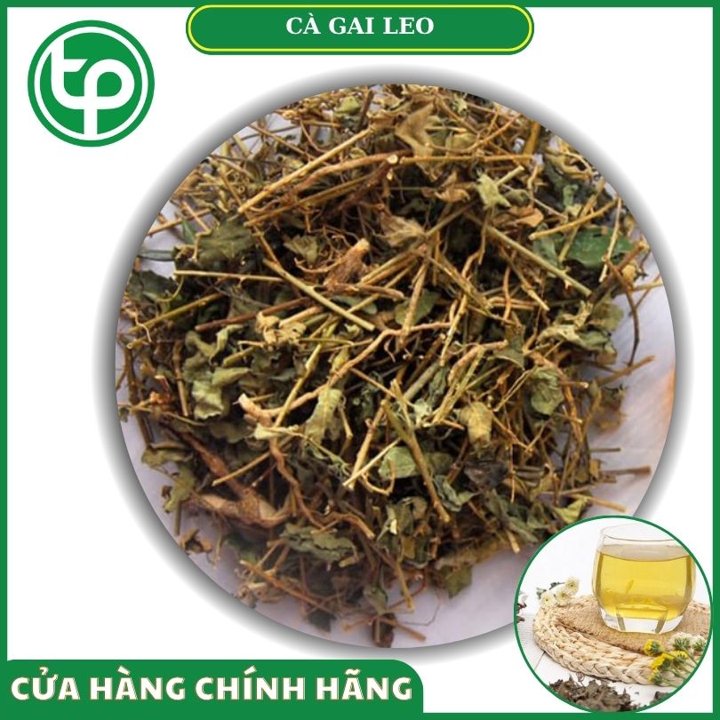Cà gai leo khô tại Tấn Phát