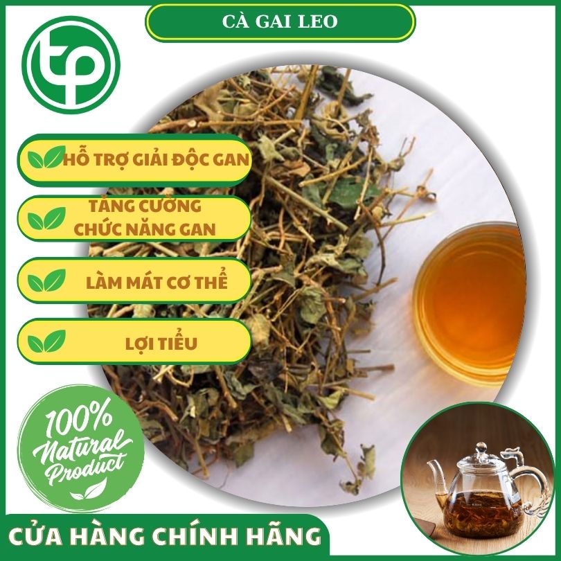 Những lợi ích đặc biệt khi dùng cà gai leo