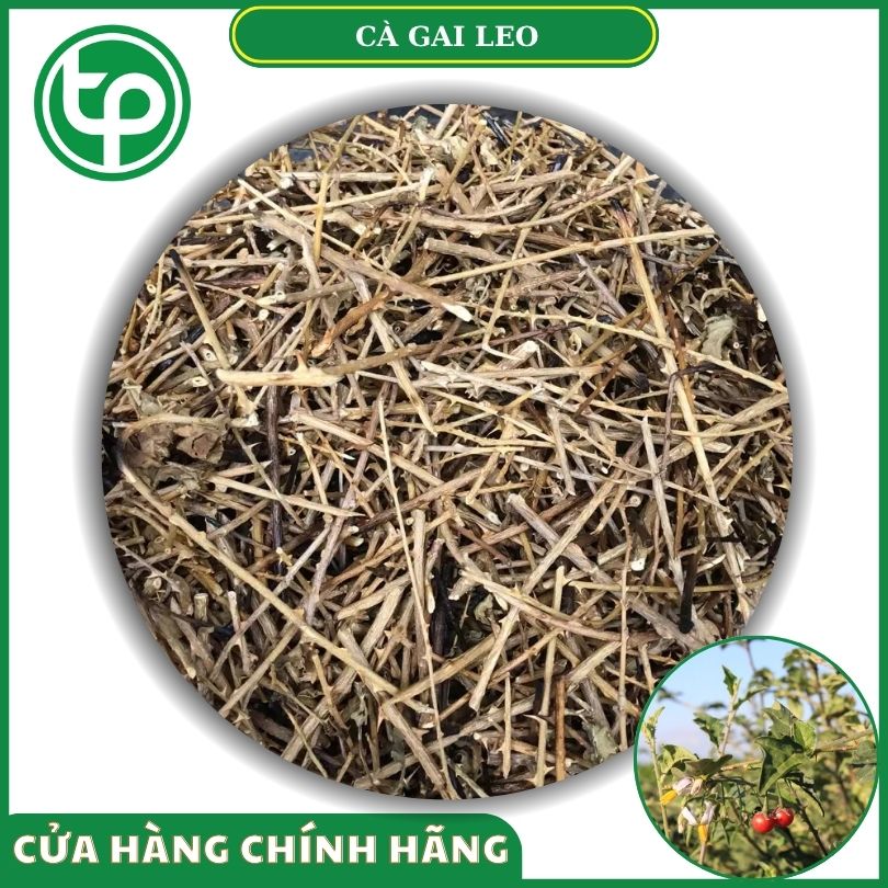 Rễ cà gai leo khô tại Tấn Phát