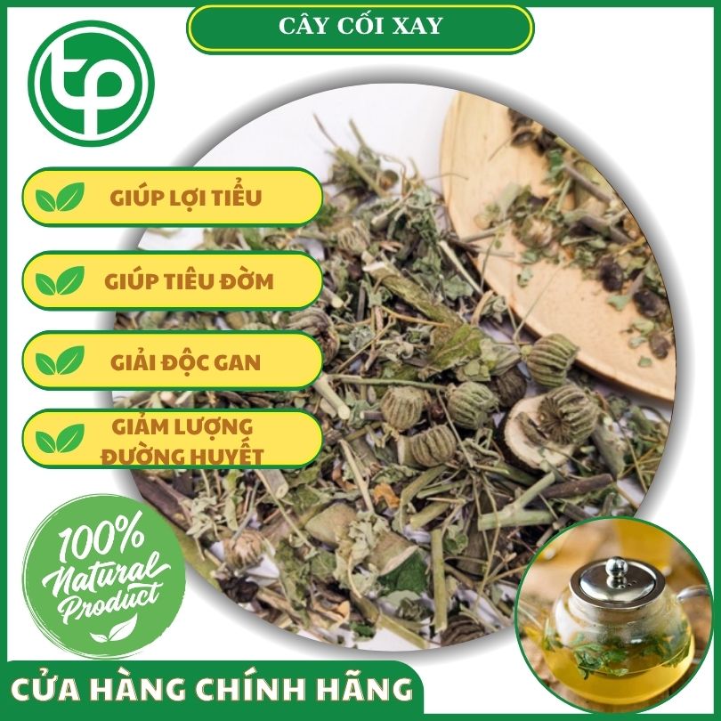 Cây cối xay mang đến nhiều công dụng