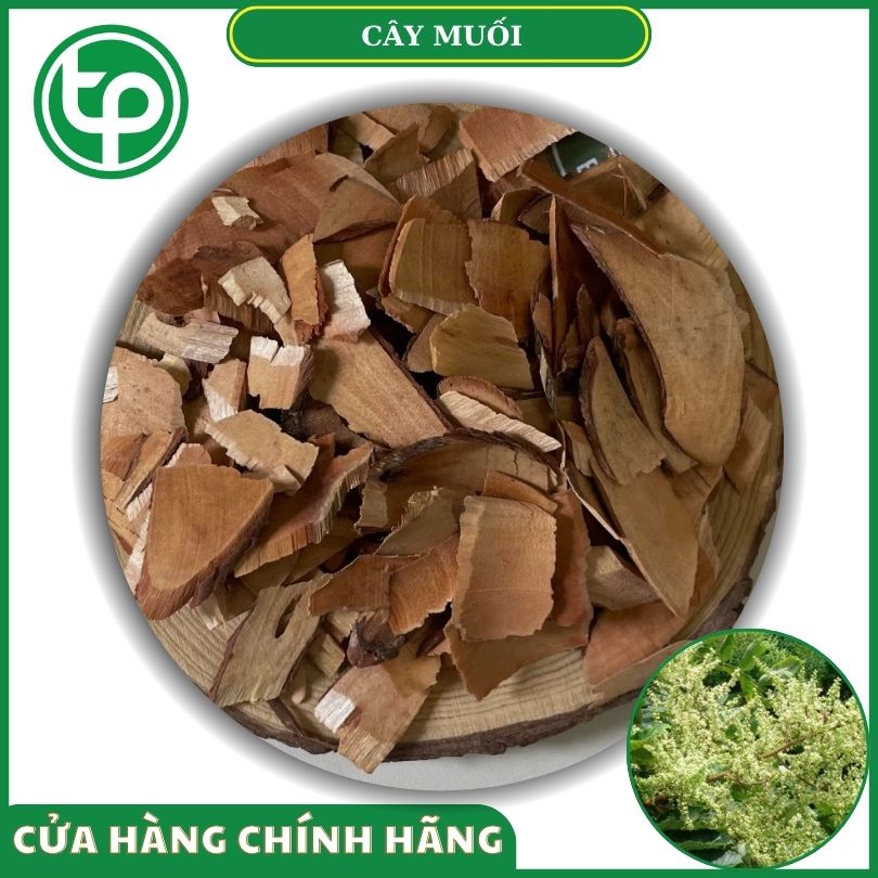 Cây muối khô tại Tấn Phát