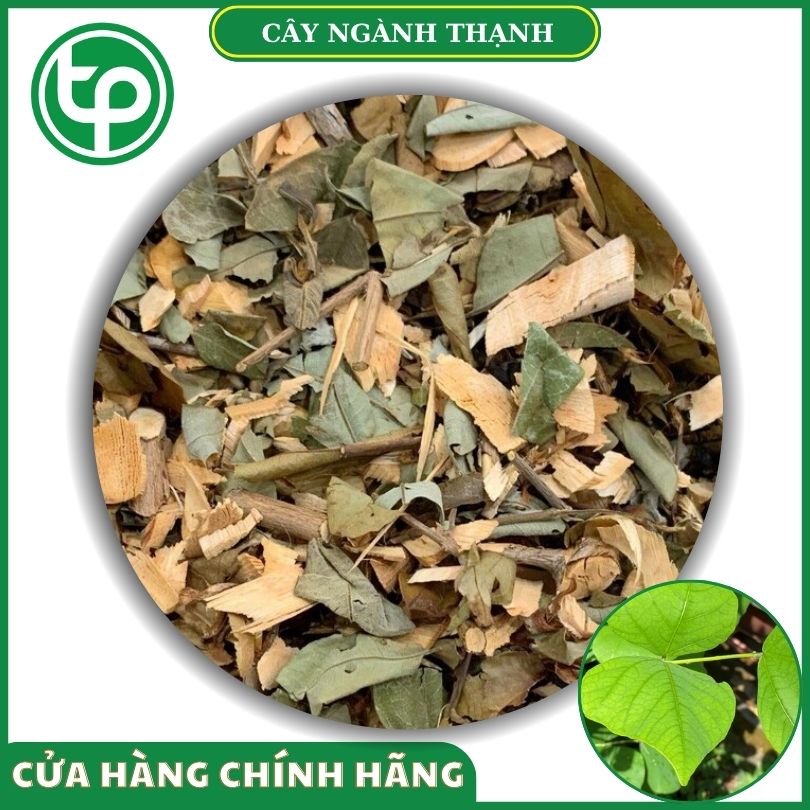 Cây ngành thạnh khô tại Tấn Phát