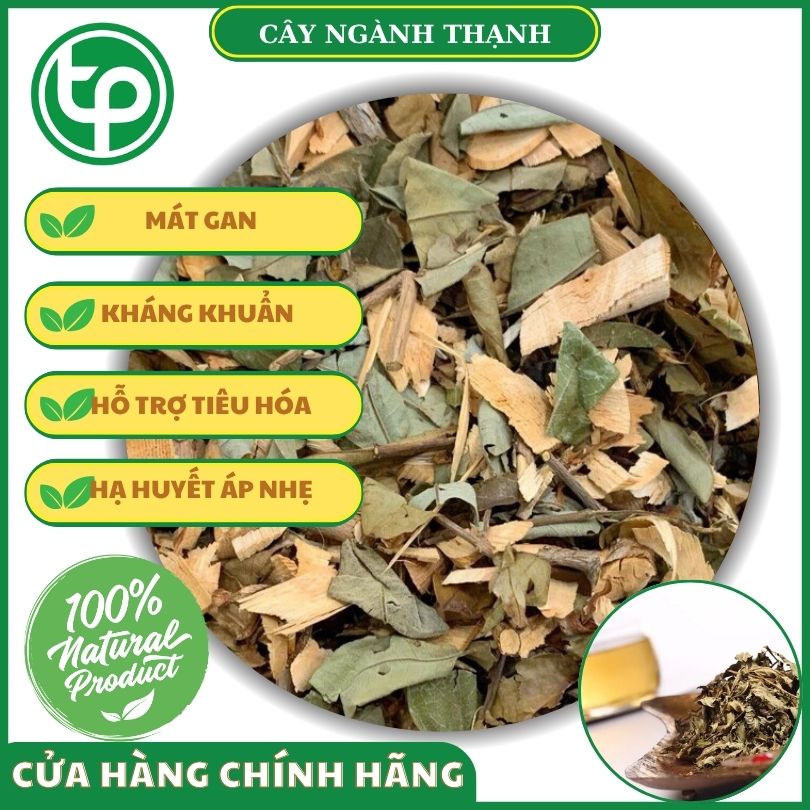 Công dụng của cây ngành thạnh đối với sức khỏe