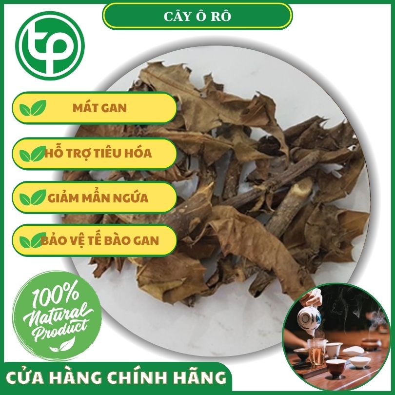 Công dụng của cây ô rô mát gan đối với sức khỏe