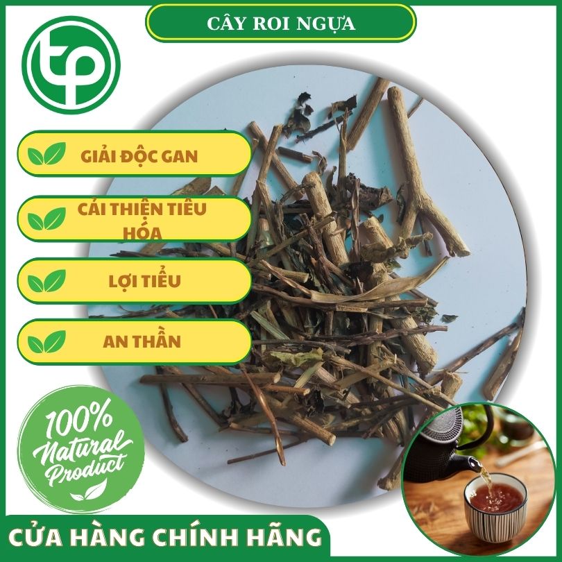 Công dụng của roi ngựa đối với sức khỏe