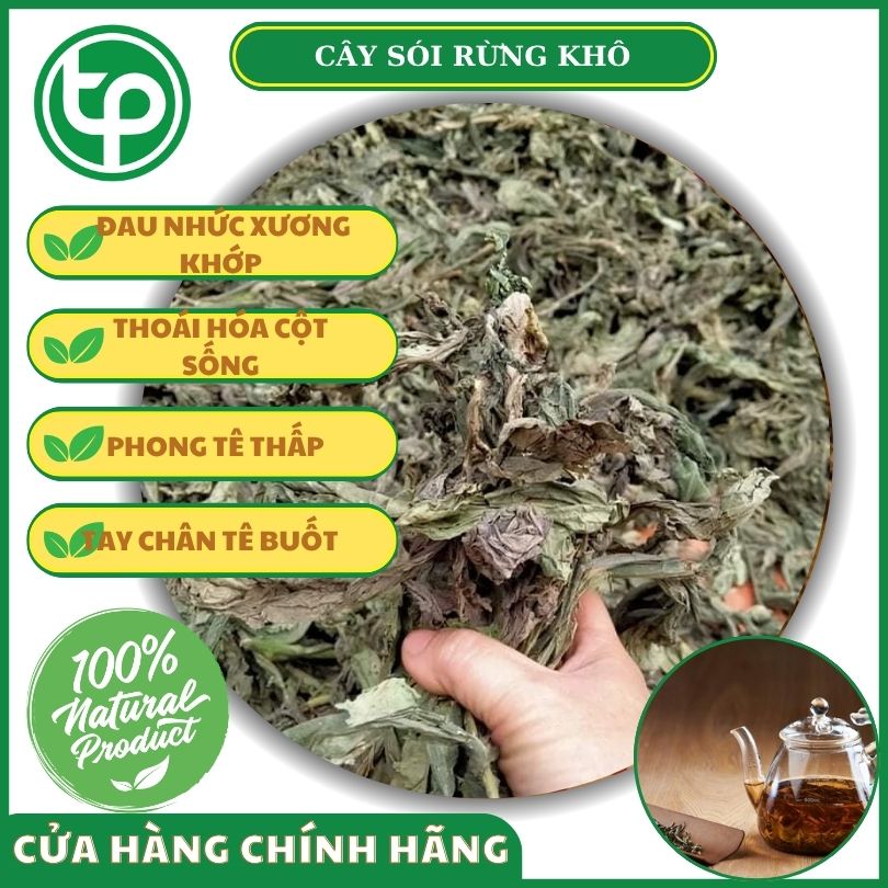 Công dụng của sói rừng đối với sức khỏe