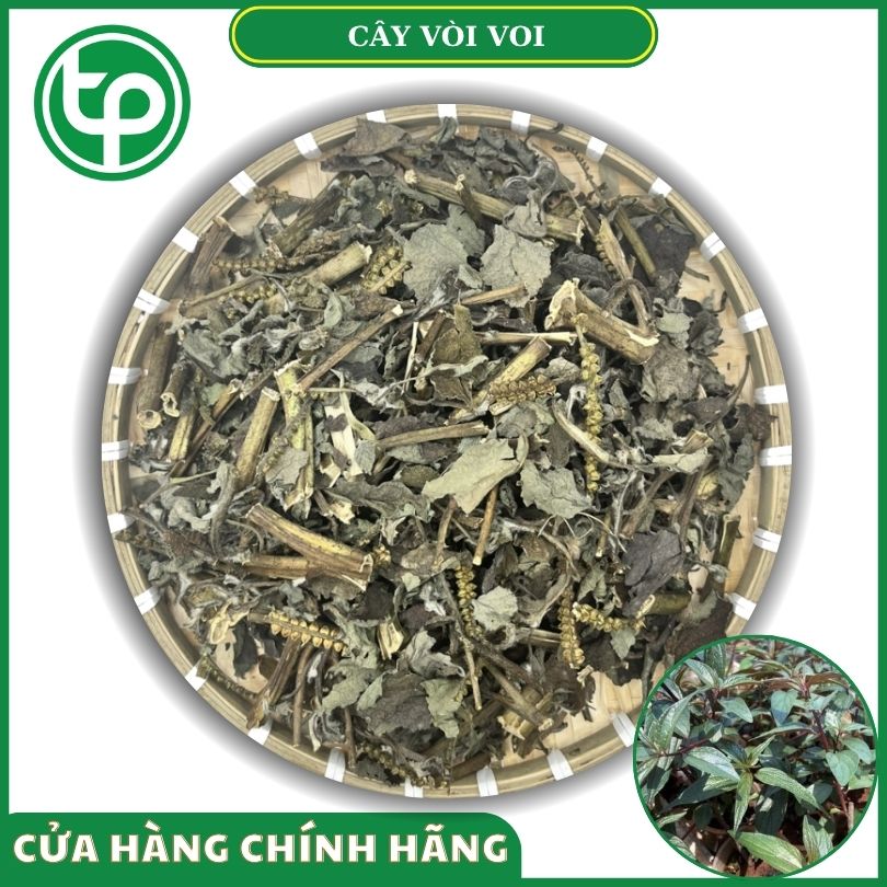Cây vòi voi khô tại Tấn Phát