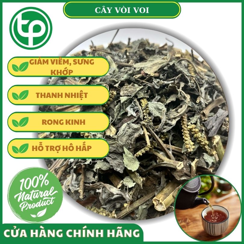 Cây vòi voi mang đến nhiều lợi ích cho sức khỏe