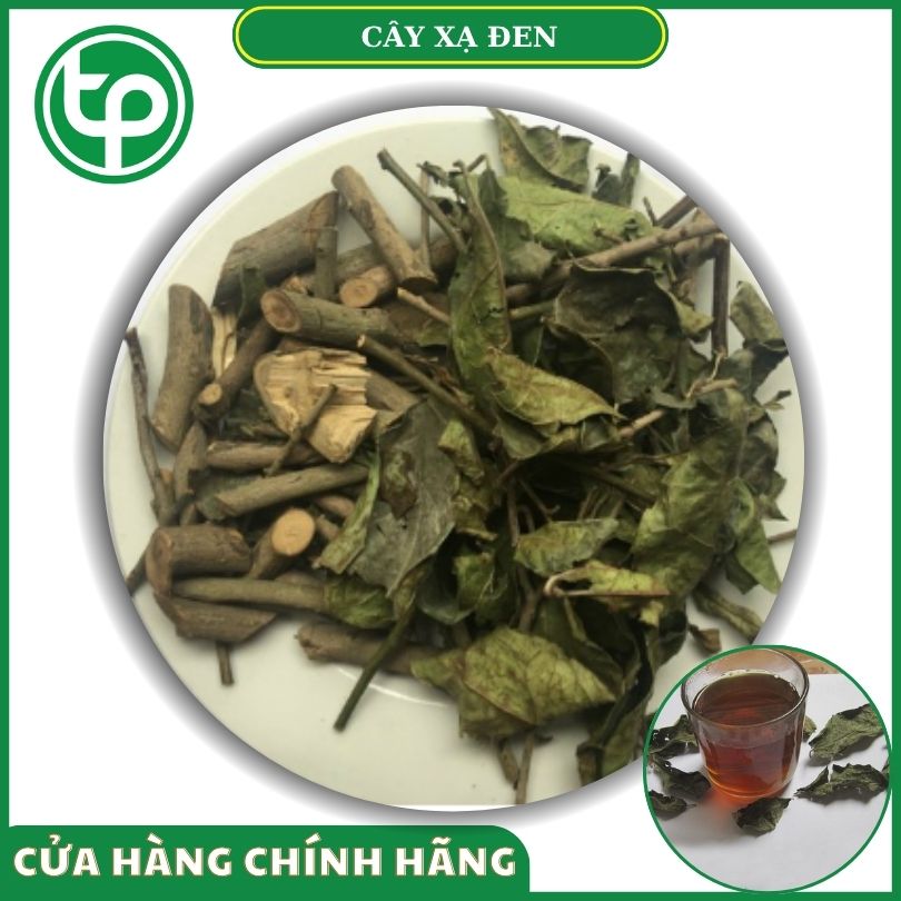 Cây xạ đen khô tại Tấn Phát