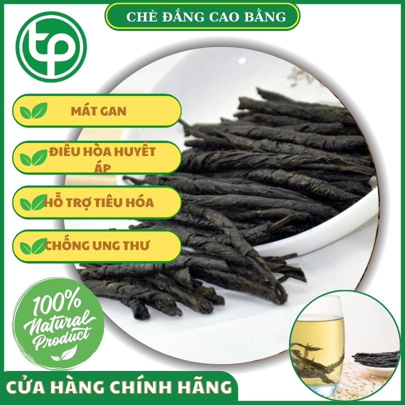 Công dụng của chè đắng đối với sức khỏe