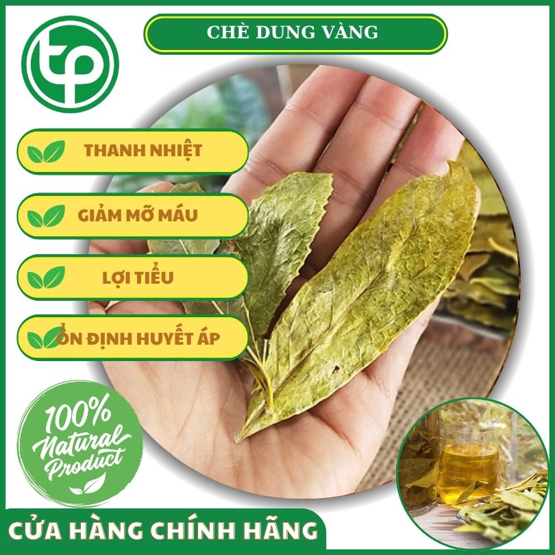 Công dụng của chè dung đối với sức khỏe