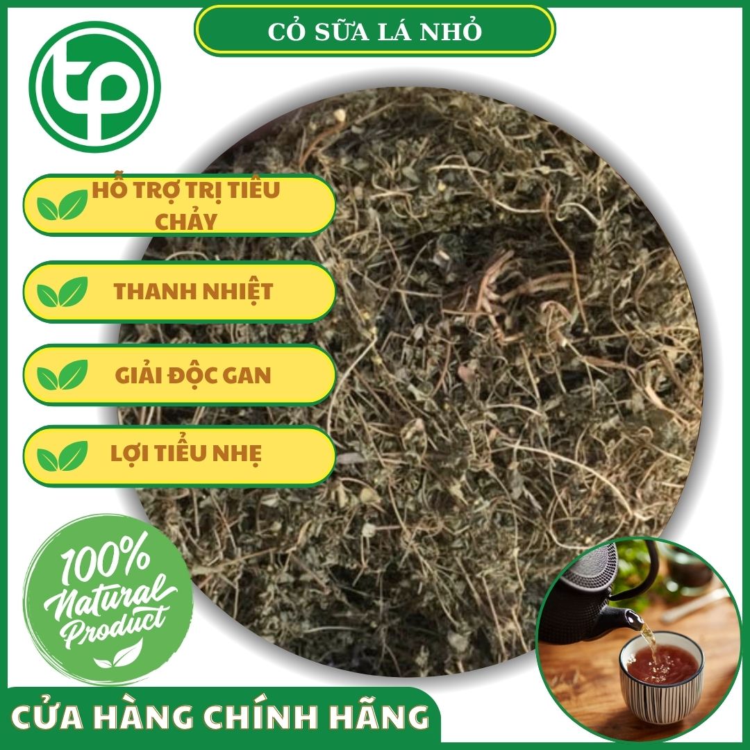 Công dụng của cỏ sữa lá nhỏ khô đối với sức khỏe