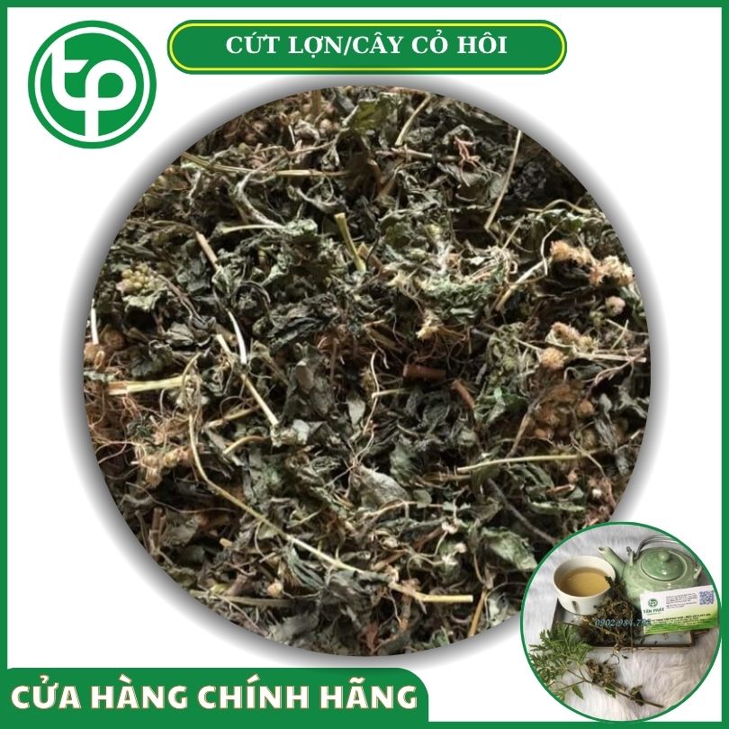 Cứt lợn/cây cỏ hôi khô tại tấn Phát