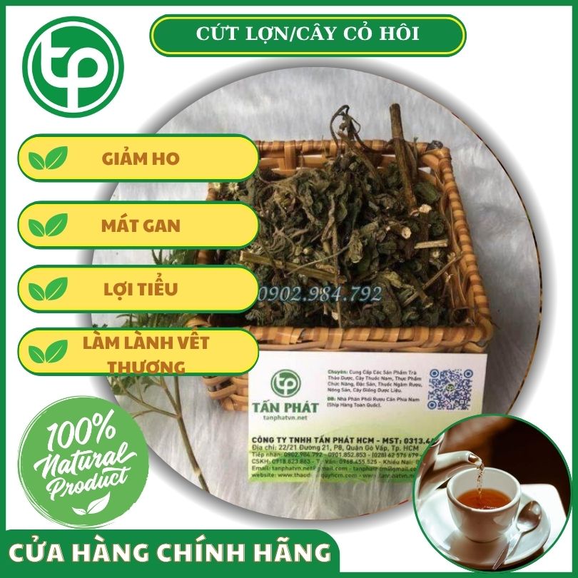 Cây cỏ hôi khô tốt cho sức khỏe